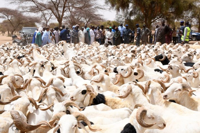 Sénégal–Mauritanie : un accord signé pour sécuriser l’approvisionnement en moutons en 2026
